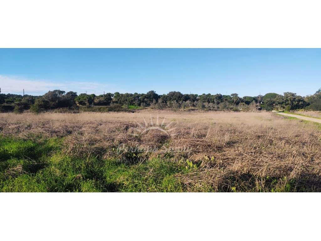 TERRENO RÚSTICO PARA VENDA - UMA OPORTUNIDADE NA SERRA DE GRÂNDOLA-4