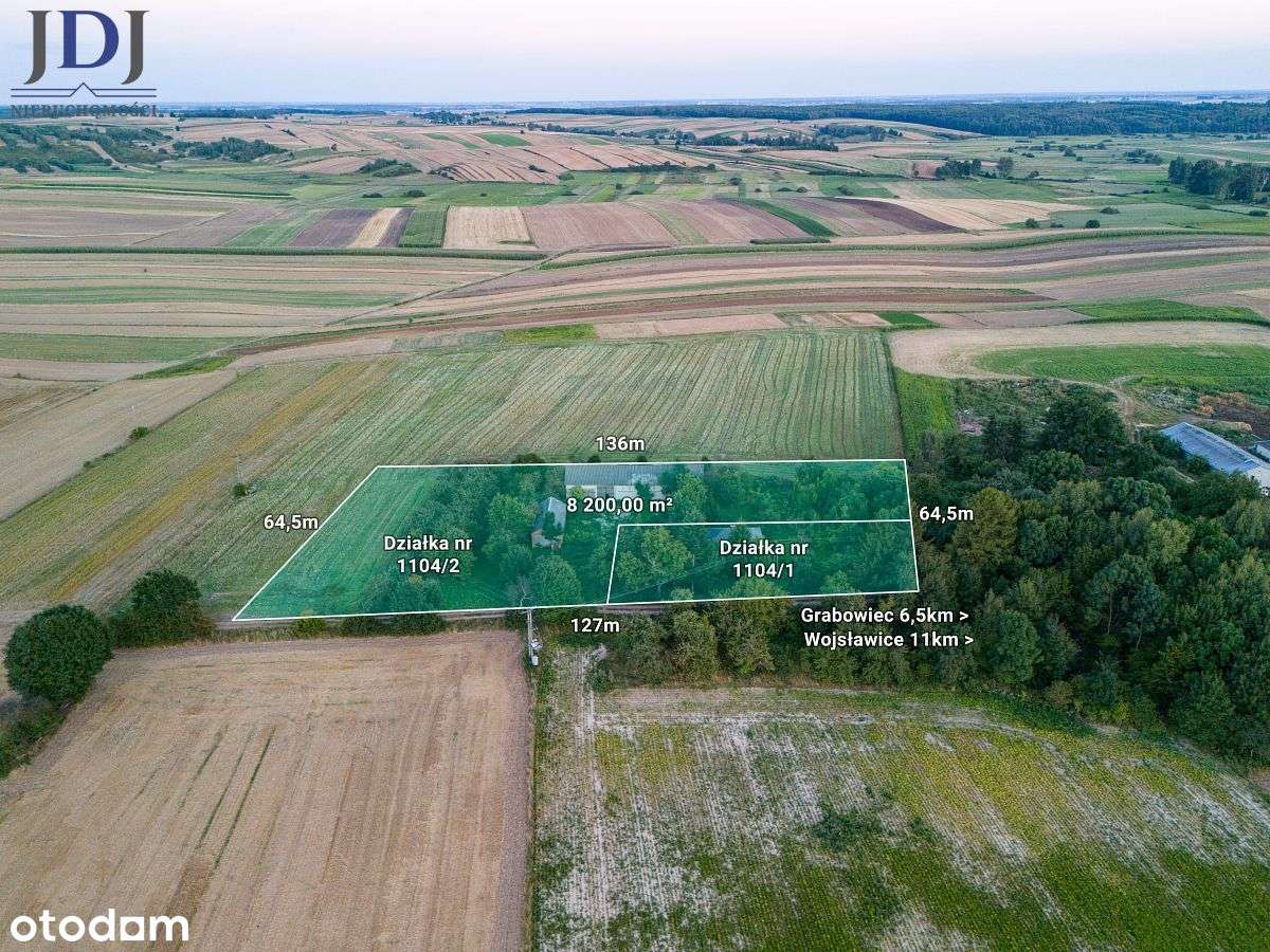 SIEDLISKO W OTULINIE DRZEW - ORNATOWICE. GRABOWIEC - Pełny obrazek: 2/16