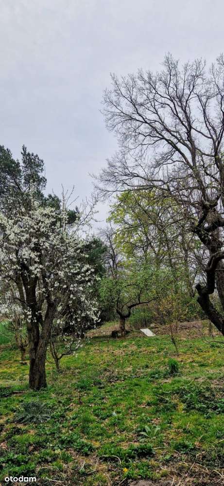 Spokojne miejsce pod agroturystykę-15