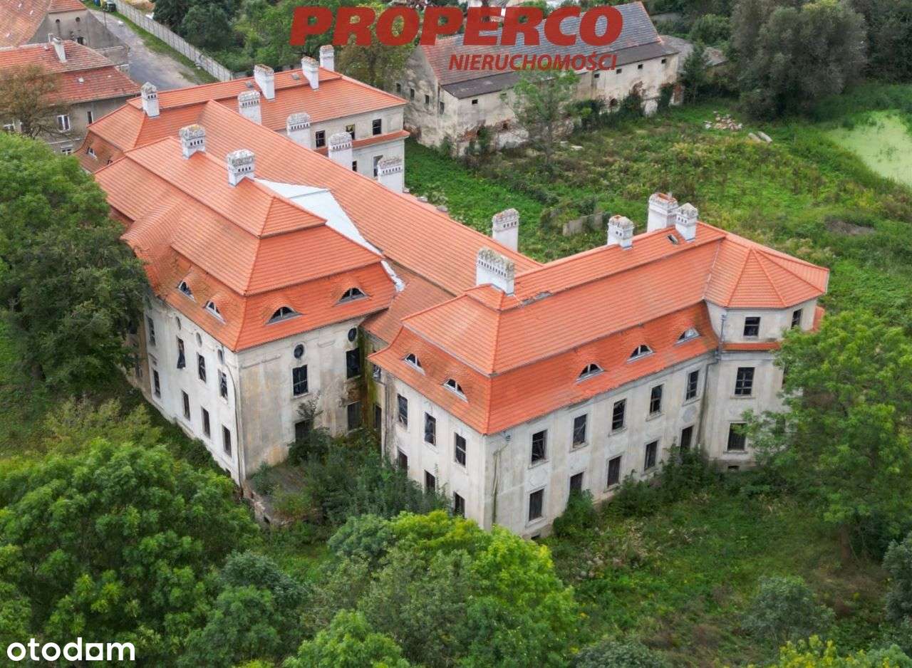 Pałac z XVII wieku, 4100 m2, park 10 ha, Małuszów - Pełny obrazek: 5/10