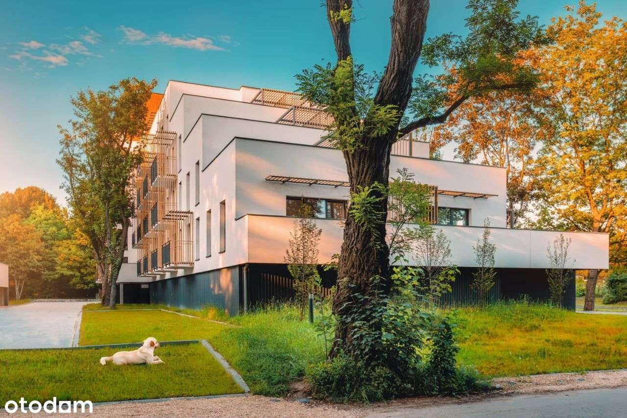 Zweika | ostatnie wolne mieszkanie | po odbiorze-5