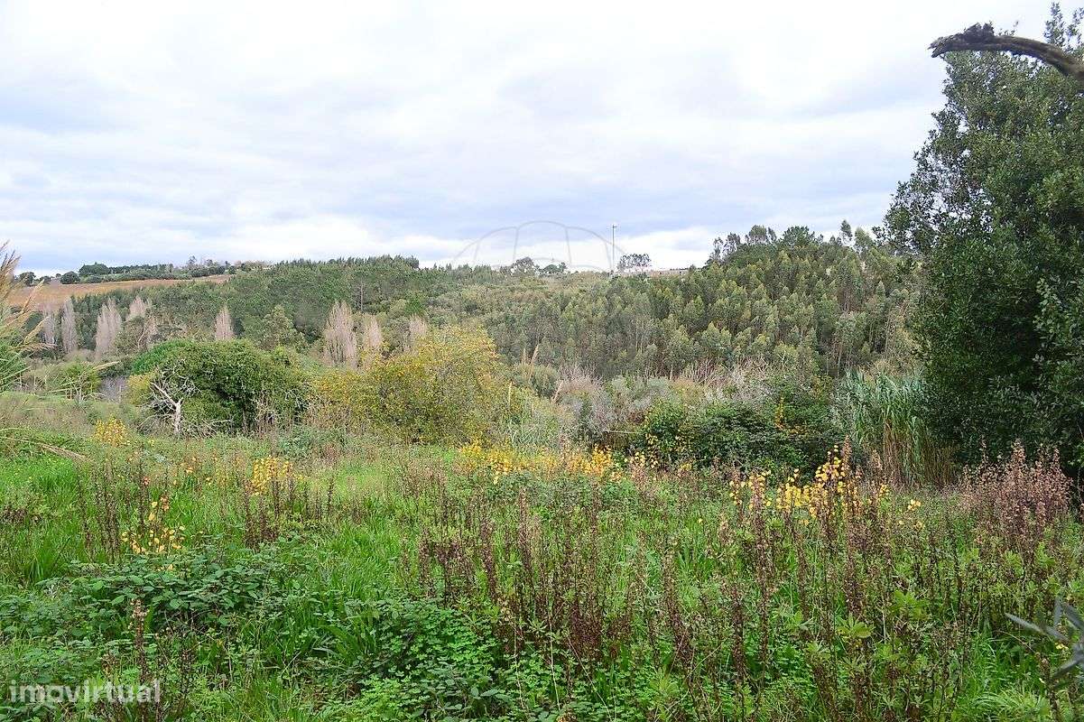 Terreno  para venda - Grande imagem: 5/11