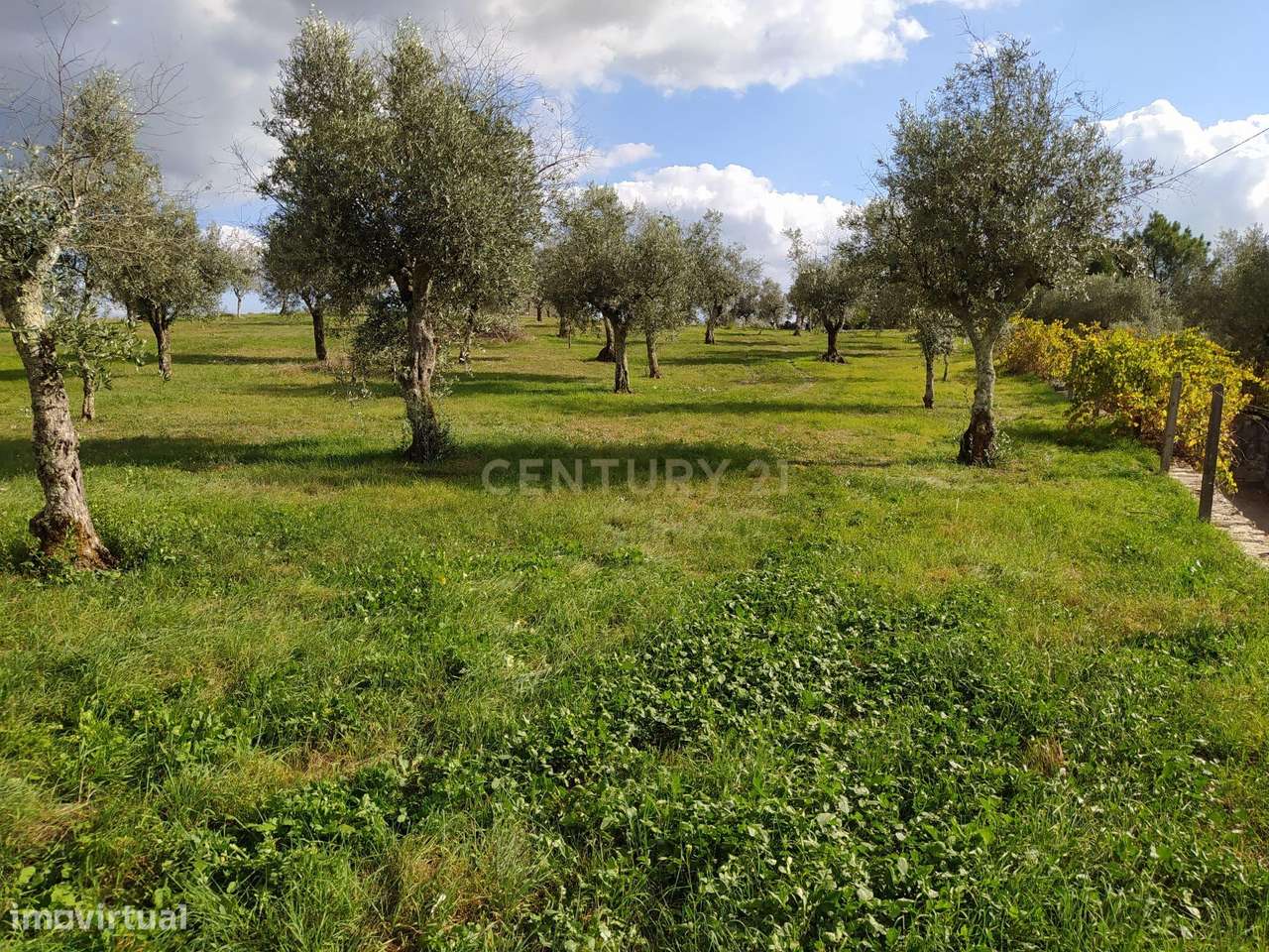 Terreno 4590M2 em Alvaiázere - Grande imagem: 2/9
