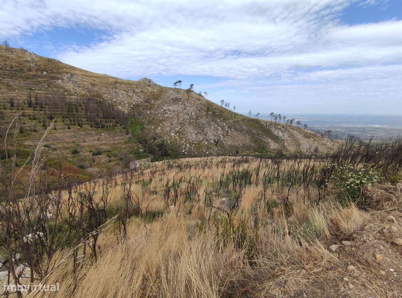 Quinta  Venda em Figueiró da Serra e Freixo da Serra,Gouveia - Grande imagem: 5/6