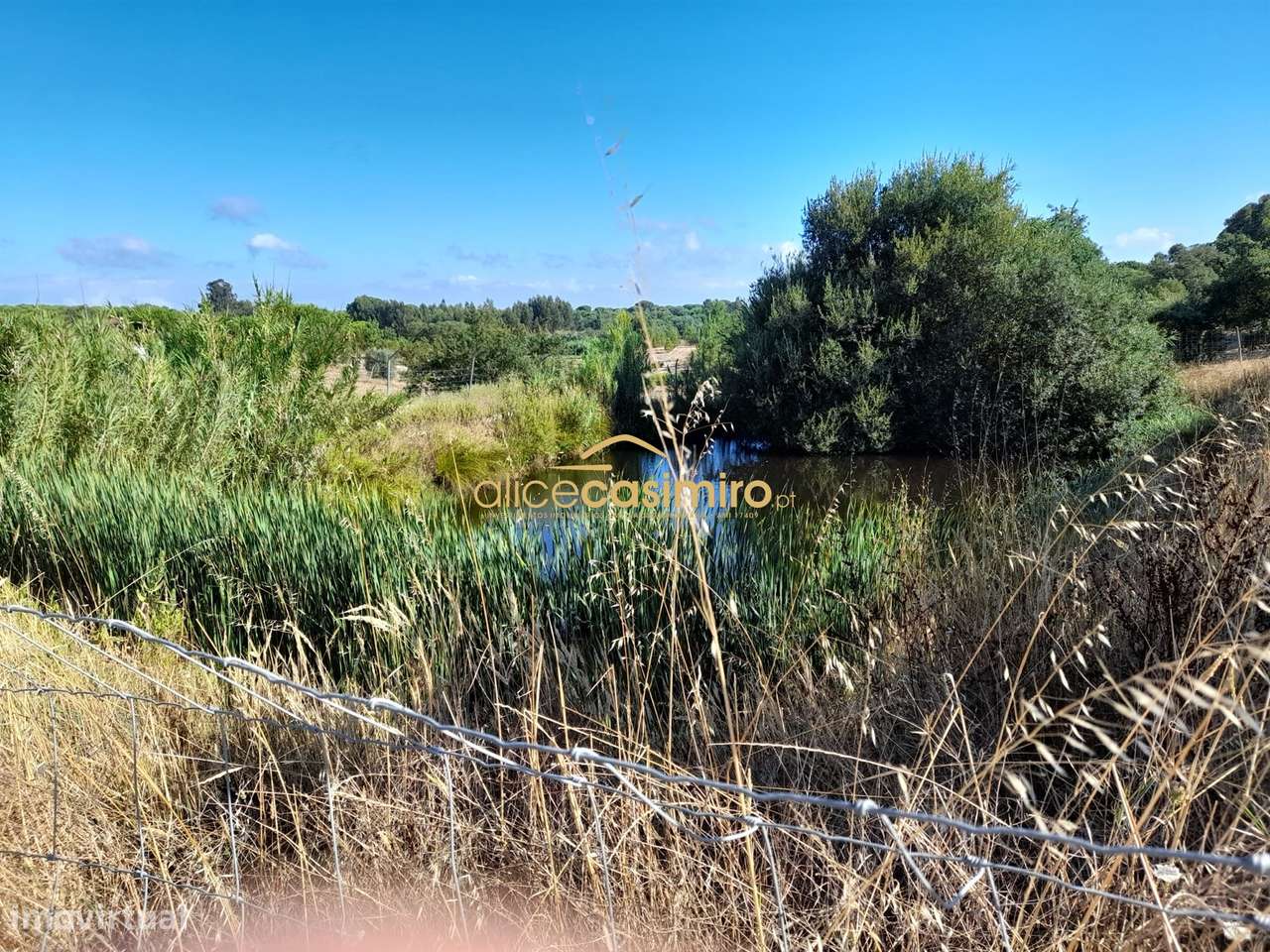 Quinta com moradia T3-5