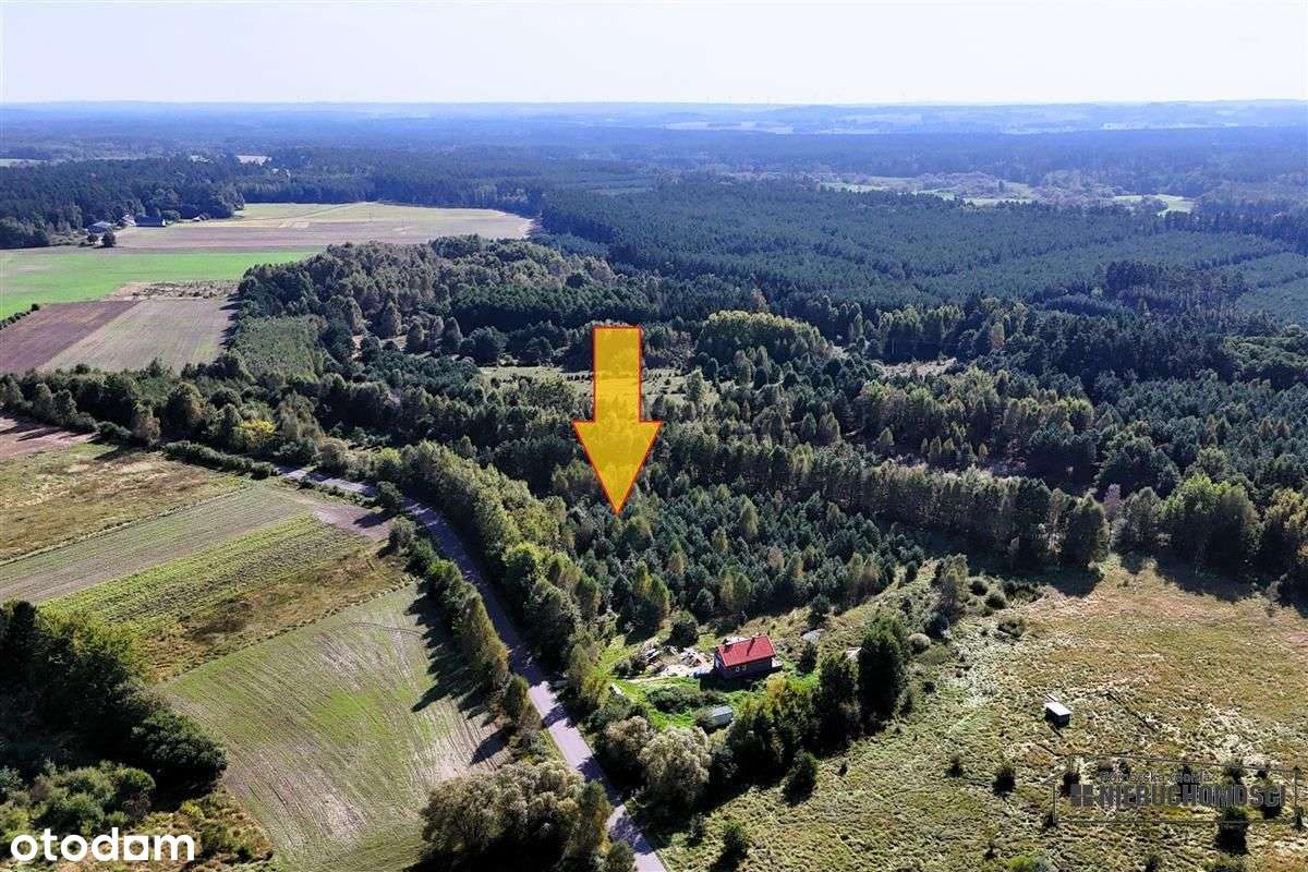 Duże działki w Krosinie, ok. 60 km od morza. - Pełny obrazek: 5/16