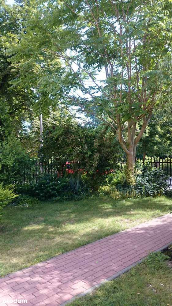 2-pokojowe 45 m² z balkonem i oddzielną kuchnią, duża piwnica-19