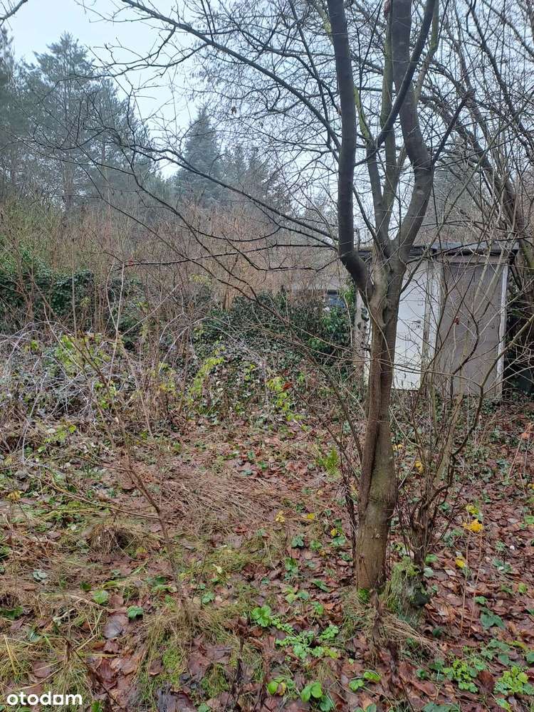 Działka budowlana w Zofiówce, idealna na wypoczynek blisko Łodzi-6