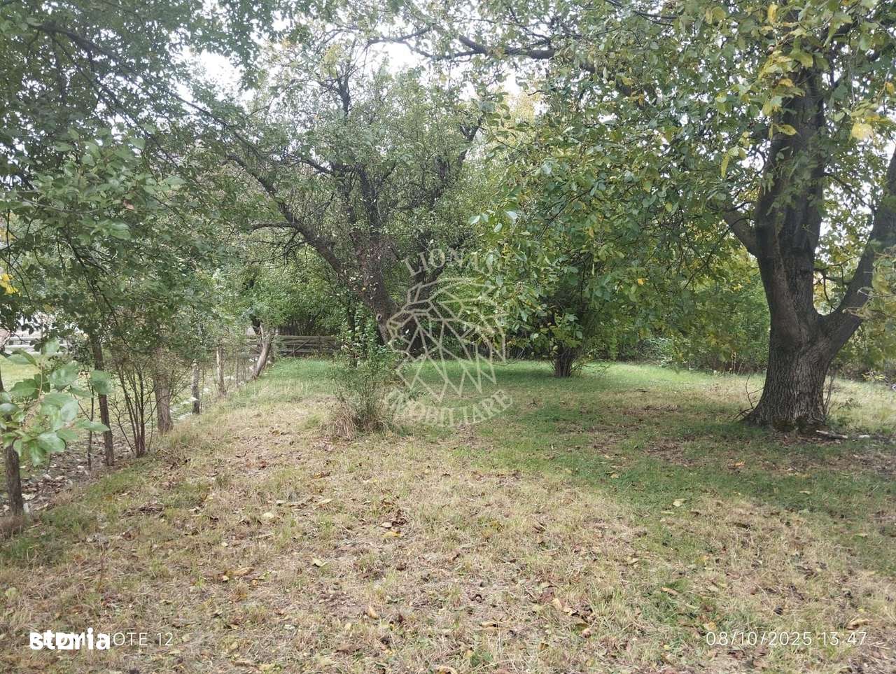 Teren intravilan 2500 mp-utilitati-ideal casa-Mijlocenii Bargaului - Imagine principală: 5/5