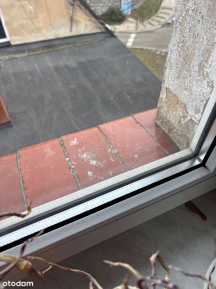 Rozważymy każdą cenę ! - Pełny obrazek: 4/6