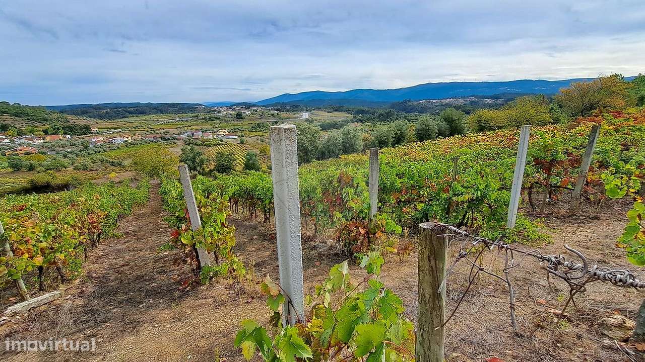 Terreno  para venda - Grande imagem: 4/7