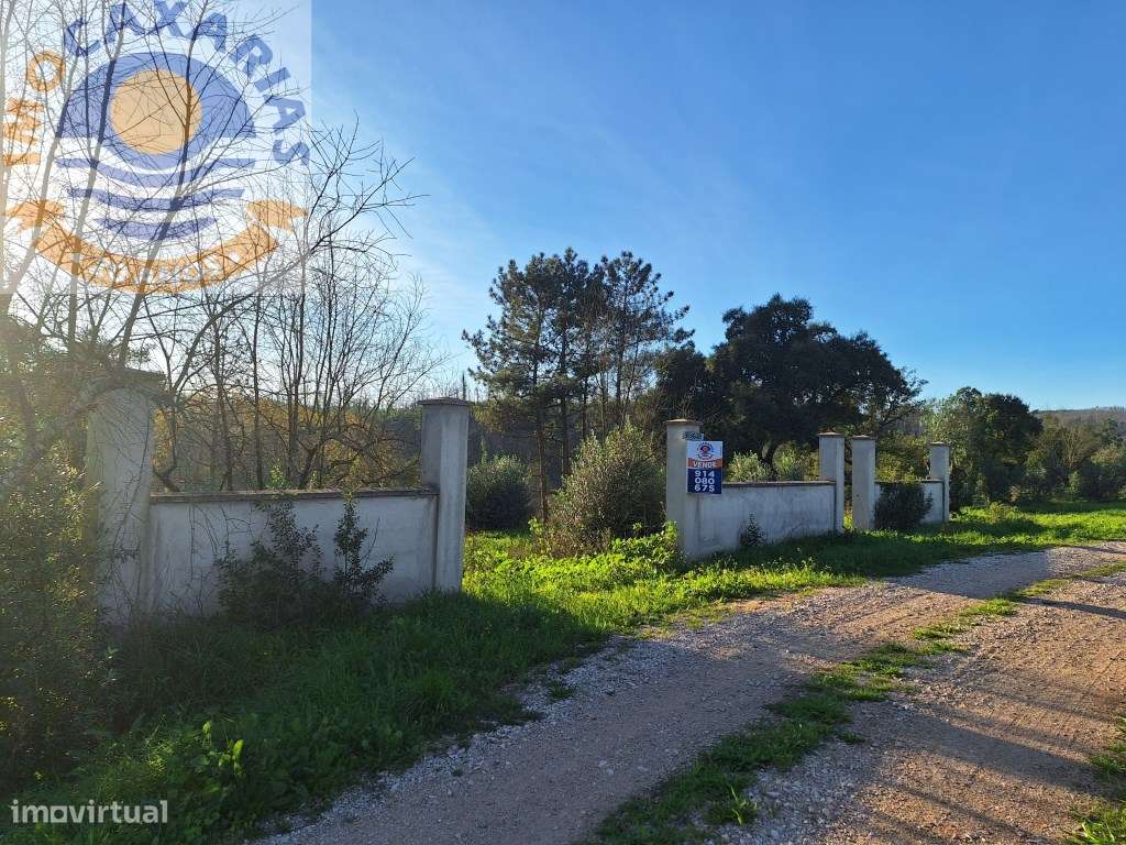 Terreno para construção-Mata - Grande imagem: 5/7