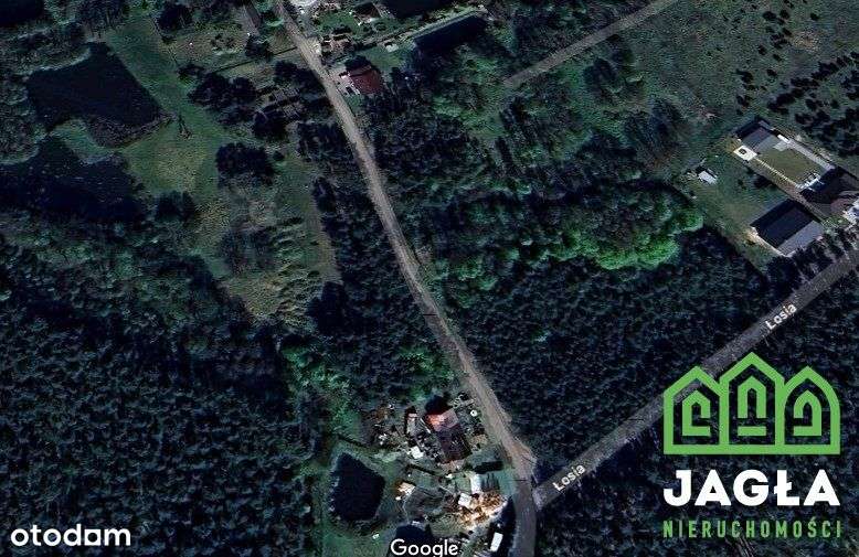 Silno działka 3400m2 warunki na dwa domy woda prąd - Pełny obrazek: 4/7