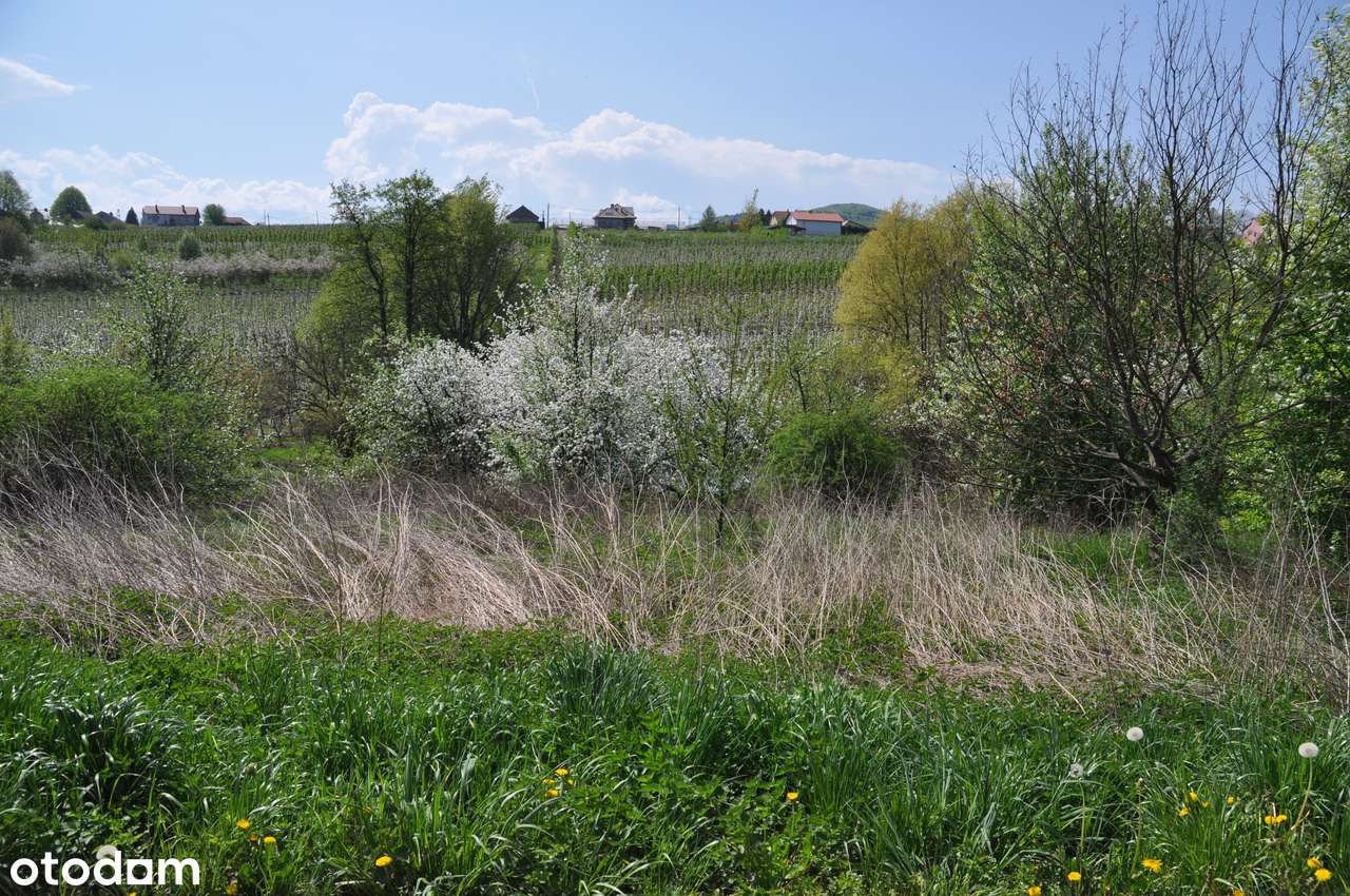 Komorniki - działka pod zabudowę - Pełny obrazek: 5/10