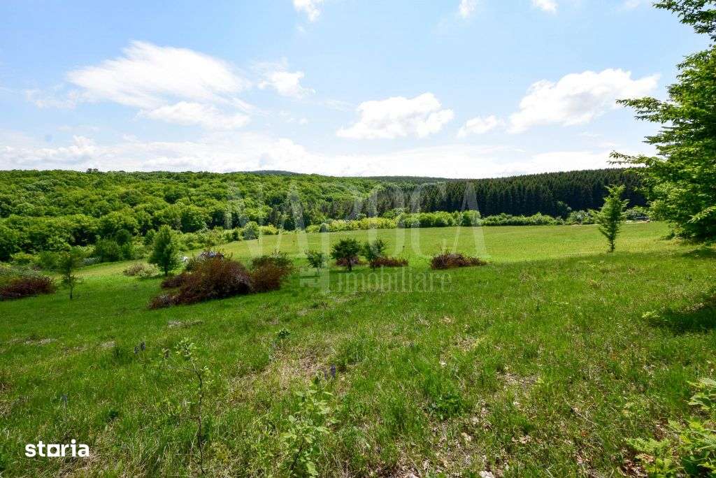 Teren intravilan pentru constructii de vanzare in Chinteni - Imagine principală: 4/7