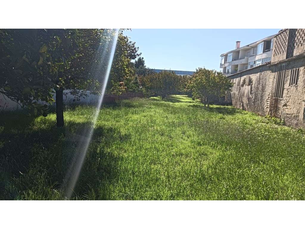 Espaçoso terreno para construção no coração da cidade - Ílhavo-4