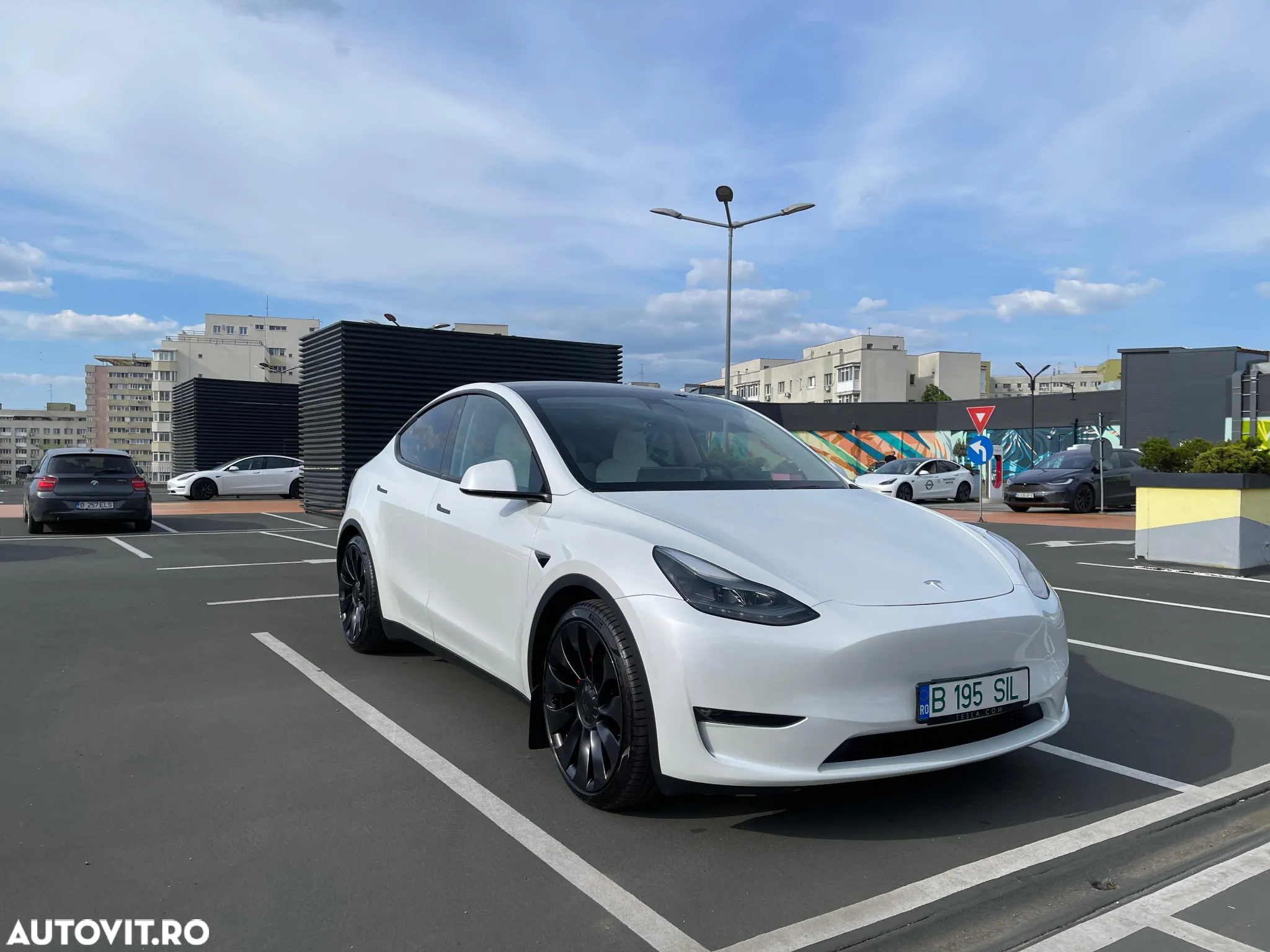 Tesla Model Y - 5