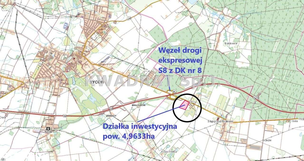 Diałka inwestycyjna 4,9633ha - Słupia pod Bralinem - Pełny obrazek: 4/8