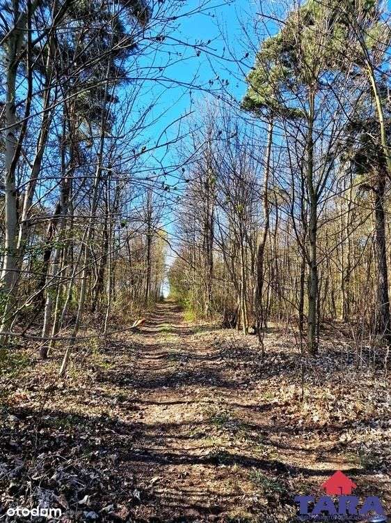 Grunt w Załachowie-12