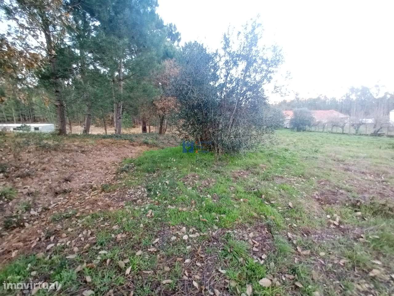 Terreno para construção no Escandarão, Ourém - Grande imagem: 4/26