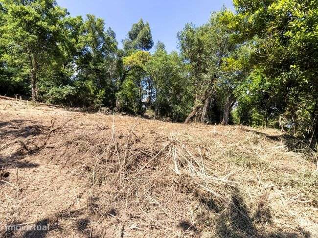 Terrenos - Vila Verde-3