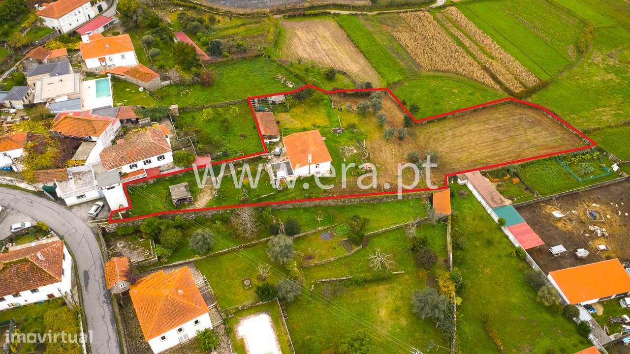 Onde a Visão Encontra a Natureza-3