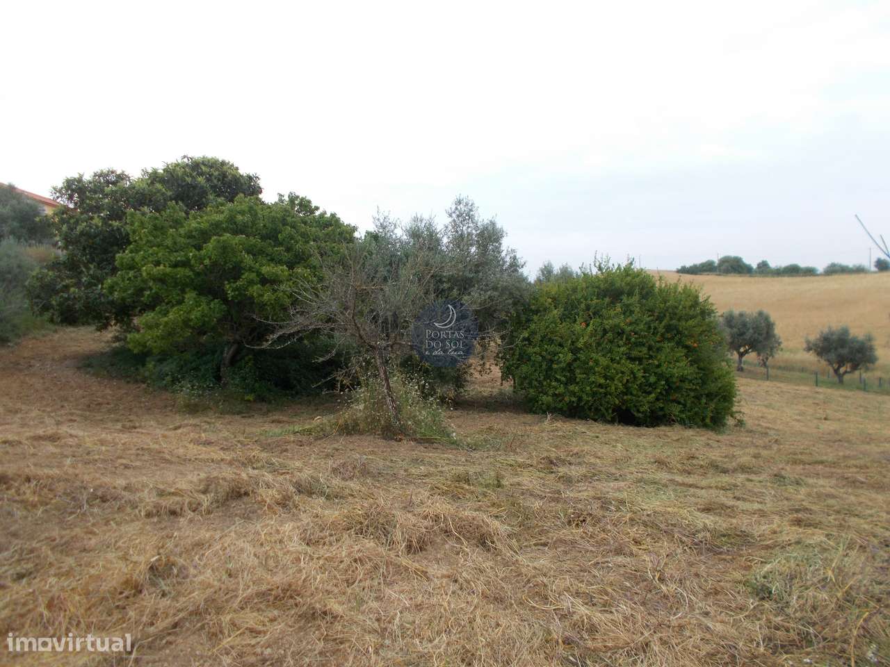 Terreno de 8.560 m2 c/ poço - Grande imagem: 4/7
