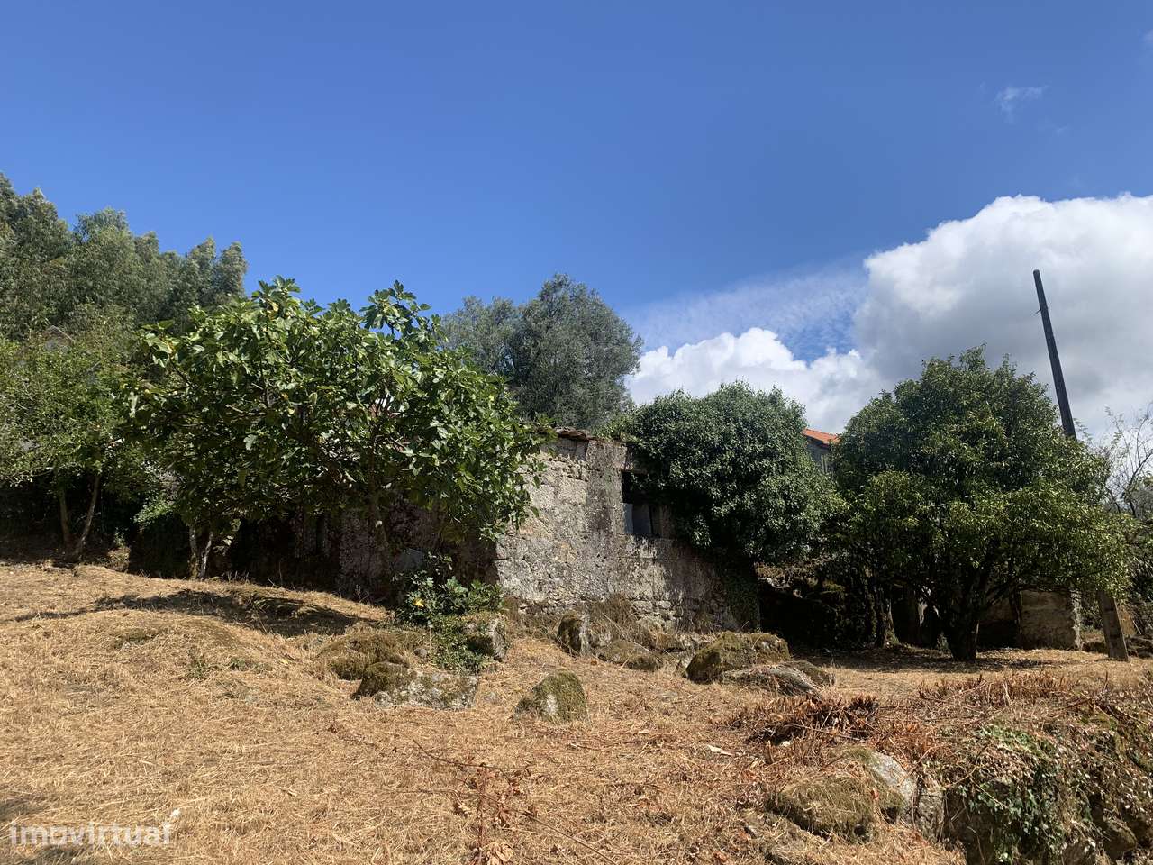 Terreno de 700m2 c/ Ruina-5