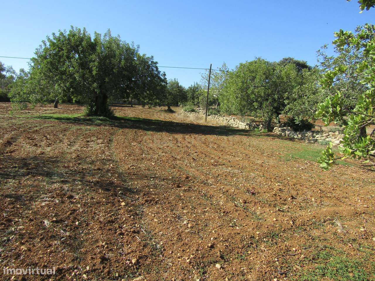 Terreno Rústico em São Brás de Alportel - Grande imagem: 2/7
