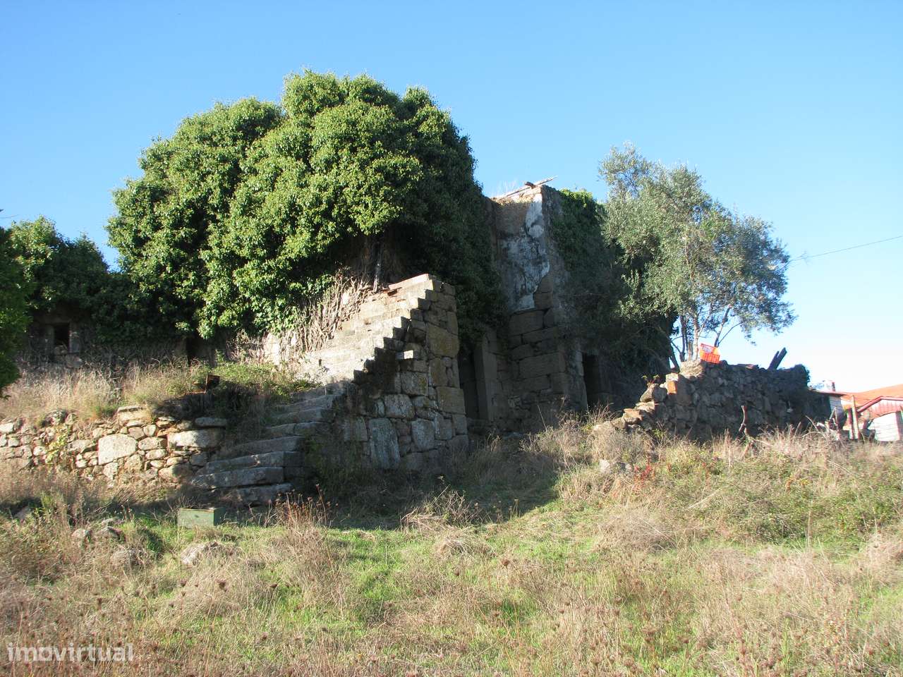 Quinta com casa em ruínas-8