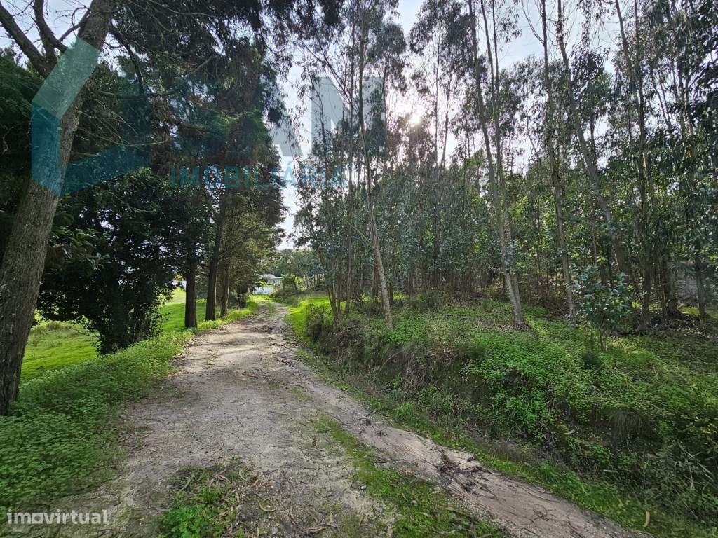 Terreno de 12.105 m2 com moradia Torres Vedras-40