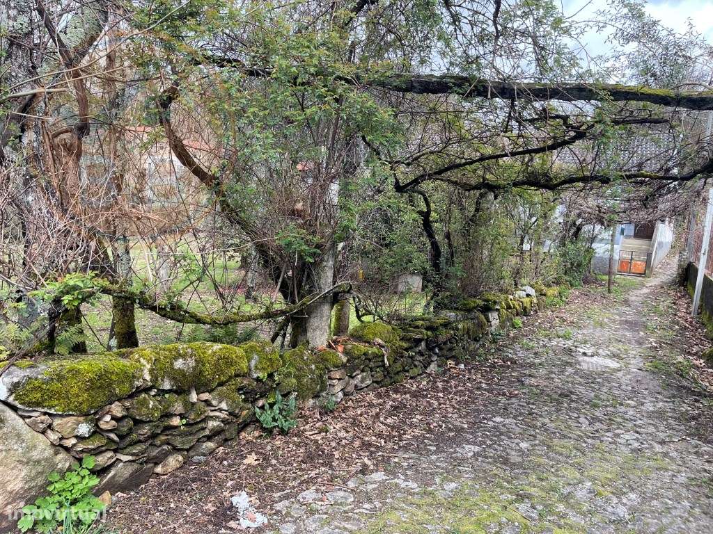 Moradia T4 em Chacim, Cabeceiras de Basto-29