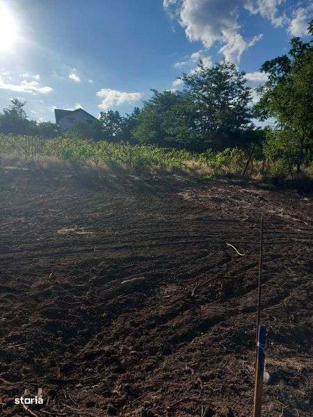 Teren Filesti Intravilan 2 parcele - Imagine principală: 5/5