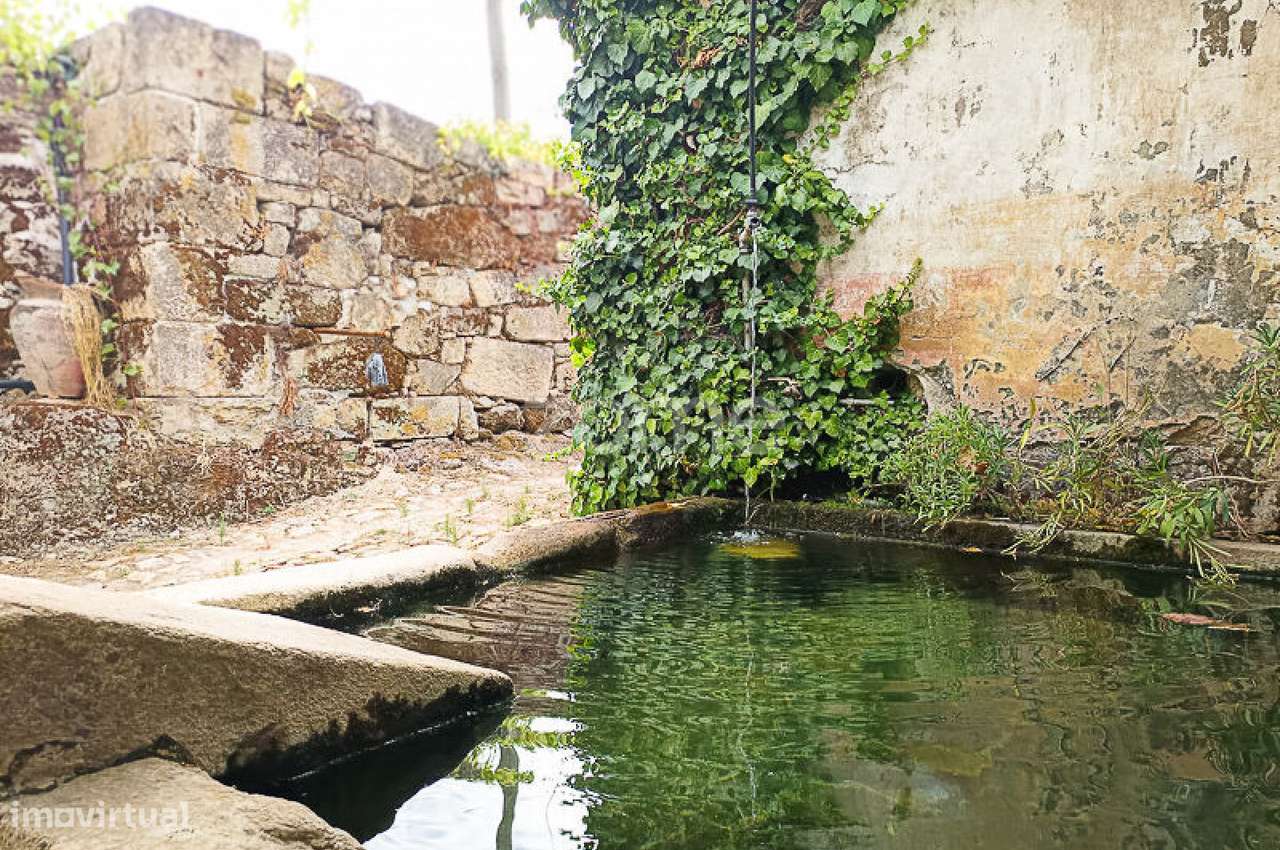 Quinta do Mosteiro de Salzedas com mais 17 ha e património histórico-32