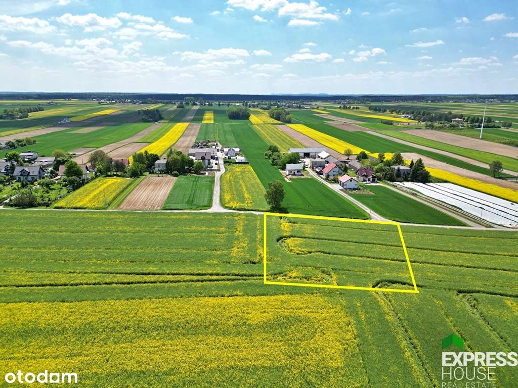 Działka budowlana- Wilczopole-kol. - Pełny obrazek: 2/6