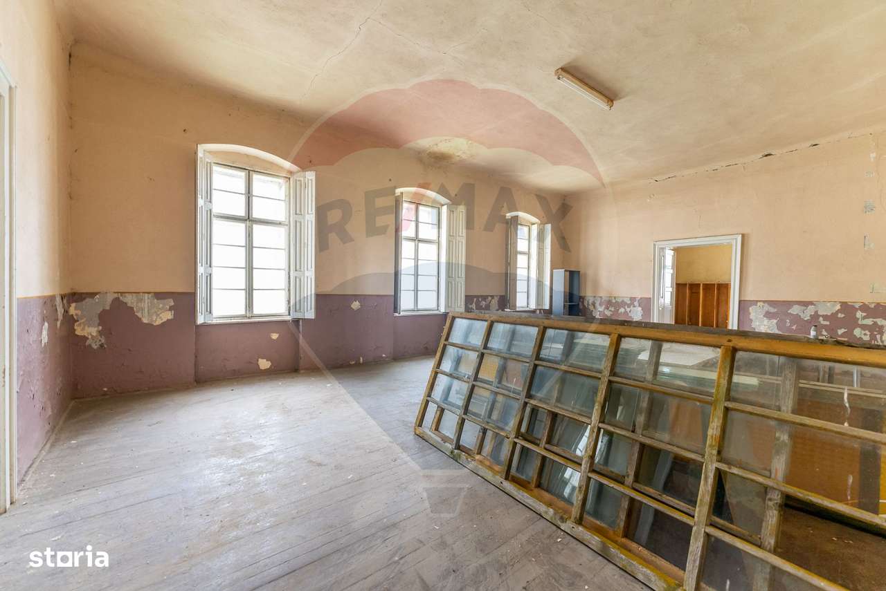 Conac aristocratic secolul XIX , domeniu  2,5 hectare — Păuliș, Arad-8