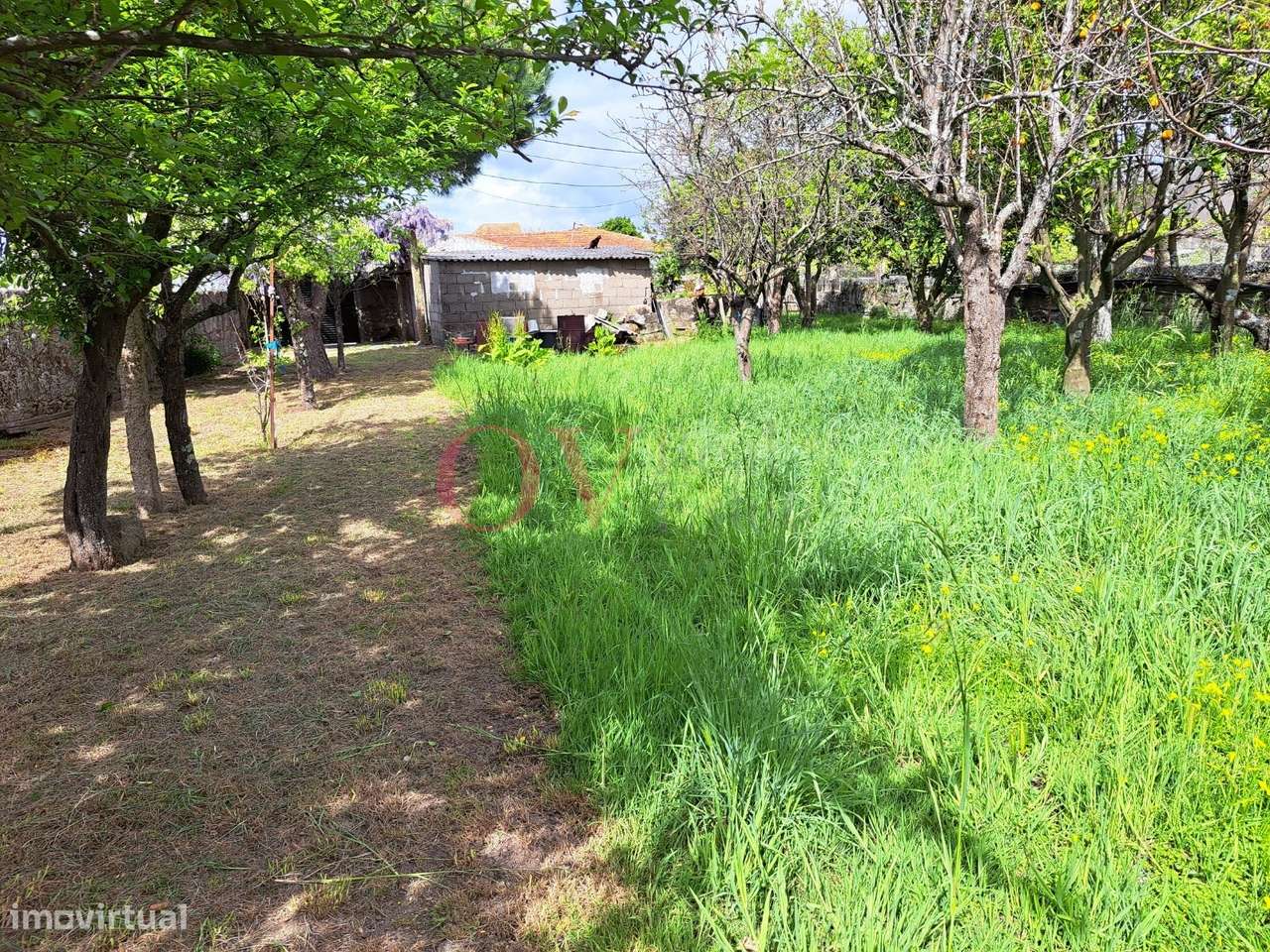 Vende-se Quintinha com moradia T4, a 2 minutos da circunvalação, junto-19