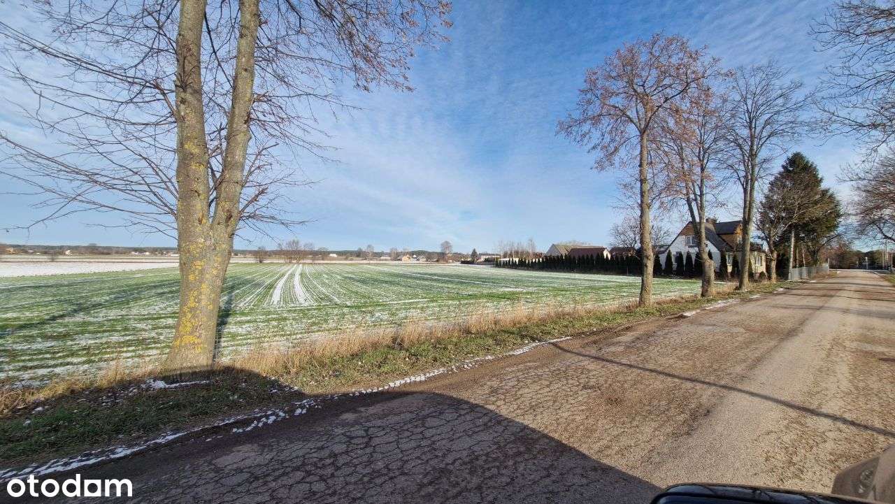 Dobrzyniewo Duże 9080 m2 Media, Asfalt, Bezpośre. - Pełny obrazek: 2/6