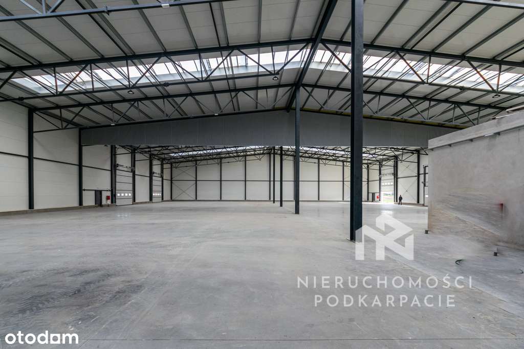 Hala/Magazyn na wynajem - Pełny obrazek: 4/15