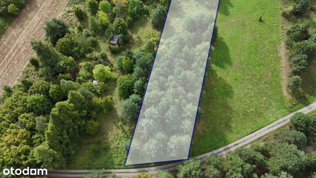 Choroń, ul. Poległych | Działka na sprzedaż - Pełny obrazek: 1/7
