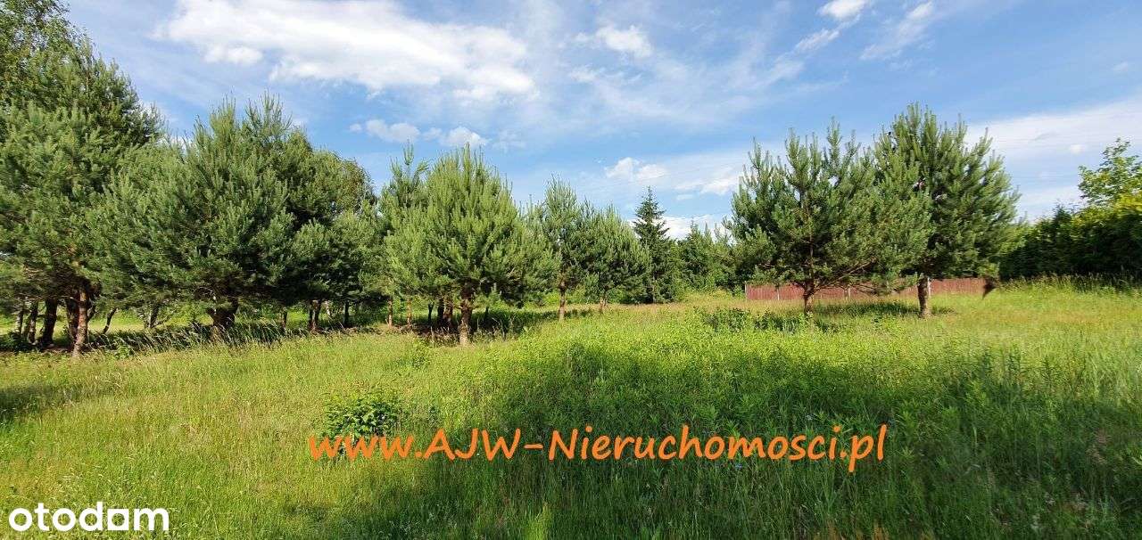 Wiktorów działka budowlana 1600 m2-3