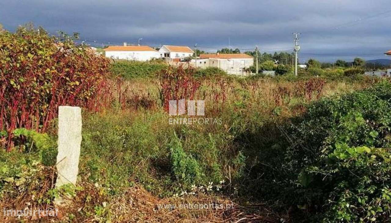 Venda de terreno agricola, Chafé, Viana do Castelo - Grande imagem: 4/30