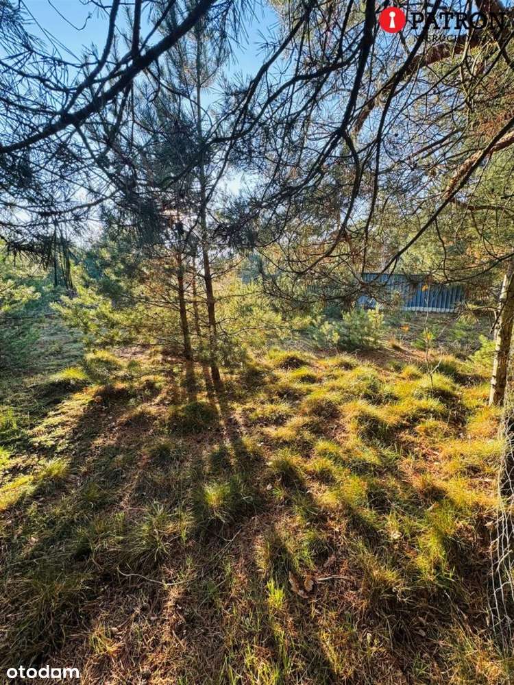 Sprzedam działkę o pow. 2 438 m² w Rurzycy-17