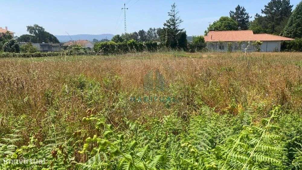 TERRENO EM VILA NOVA DE ANHA COM 2100 M2 - Grande imagem: 5/8
