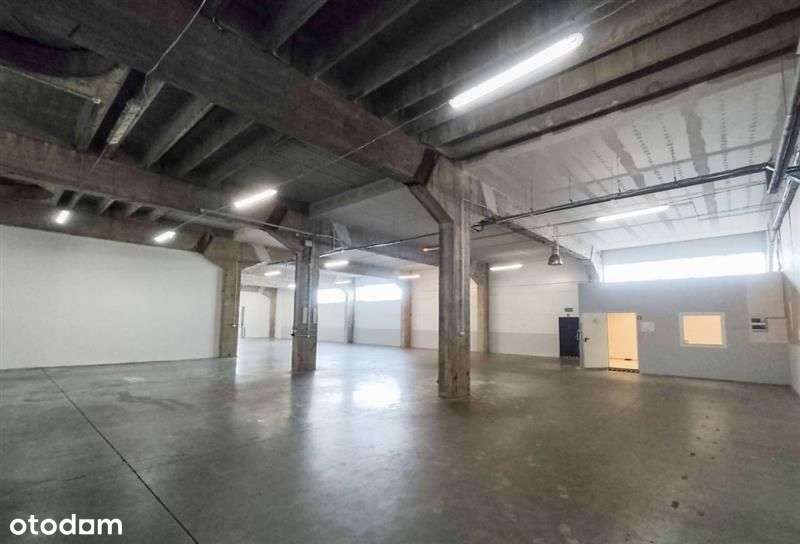 Gdynia Dąbrowa magazyn 1583m2+biura 207m2 - Pełny obrazek: 4/12