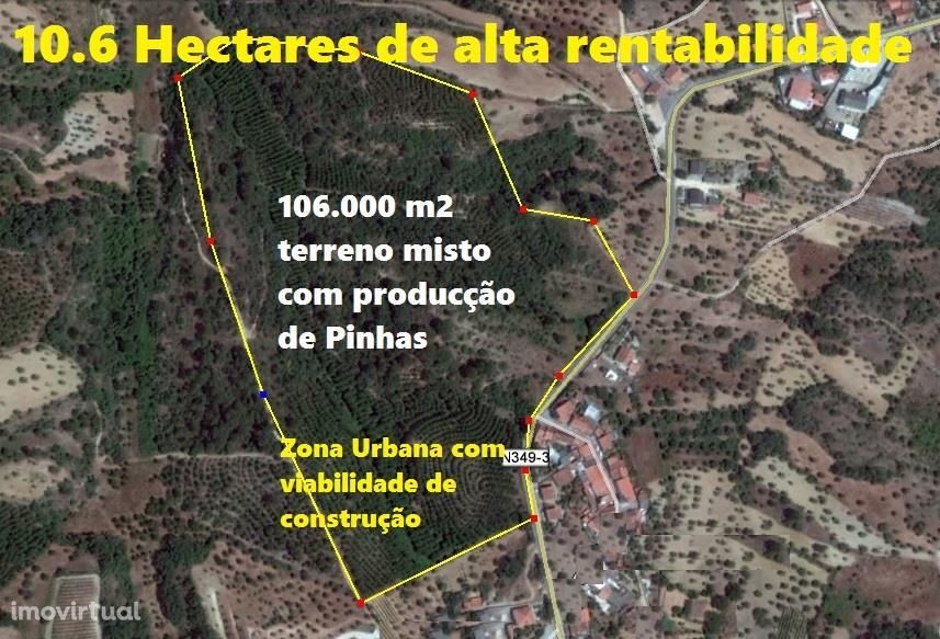 Terreno p/ Construção-Casal da Fonte, Torres Novas