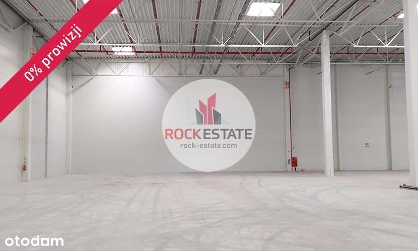 Magazyn pod Gliwicami od zaraz - 4tyś m2 - 0% prow - Pełny obrazek: 4/9