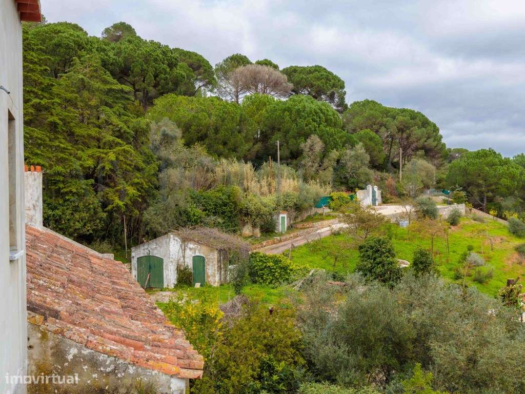 Quinta do Levante: Refúgio de Luxo com Projeto Aprovado no Coração ...-6