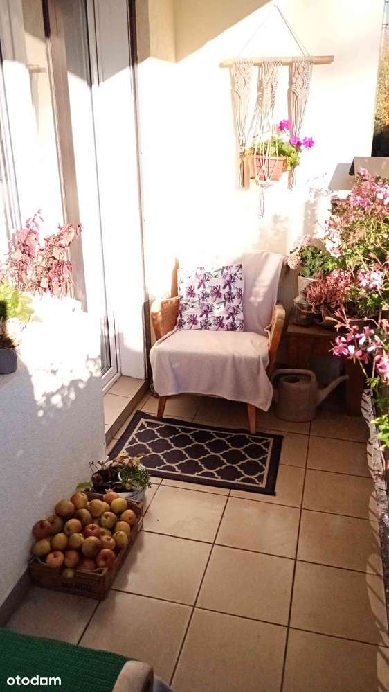 REZERWACJA Mieszkanie 2 pokoje balkon centrum Jelcz-Laskowice - Pełny obrazek: 4/6