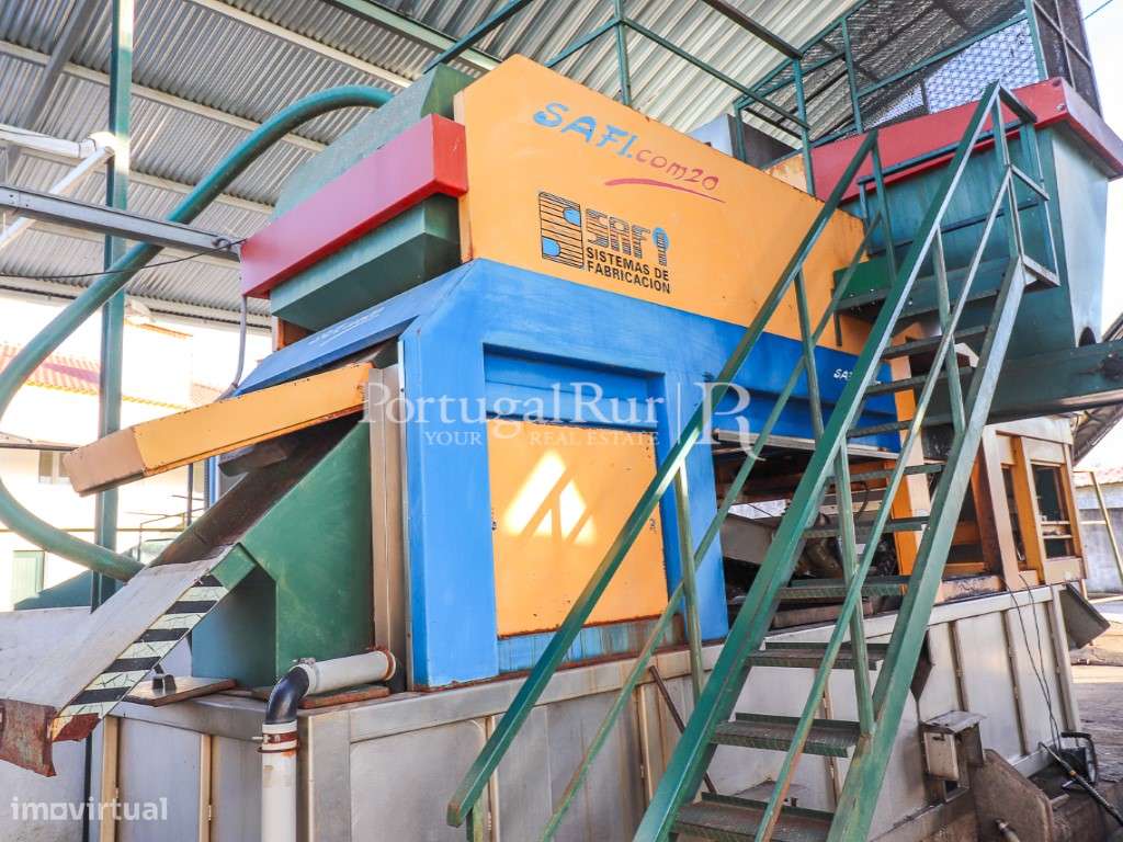 Unidade Industrial de Produção de Azeite & Elevado Potencial Produtivo-15